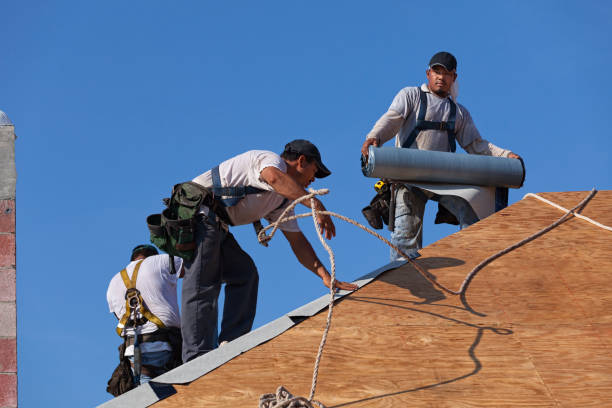 Roof Gutter Cleaning in Midlothian, IL